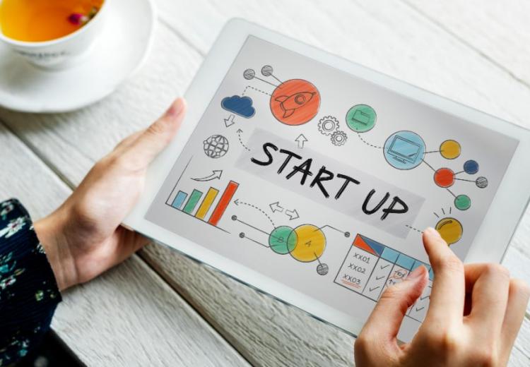 Why is a professional accountant crucial for start-up businesses?